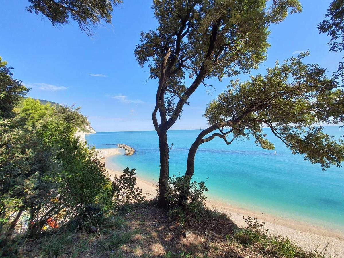 Monte San Vito Agriturismo Rosa Antica מראה חיצוני תמונה