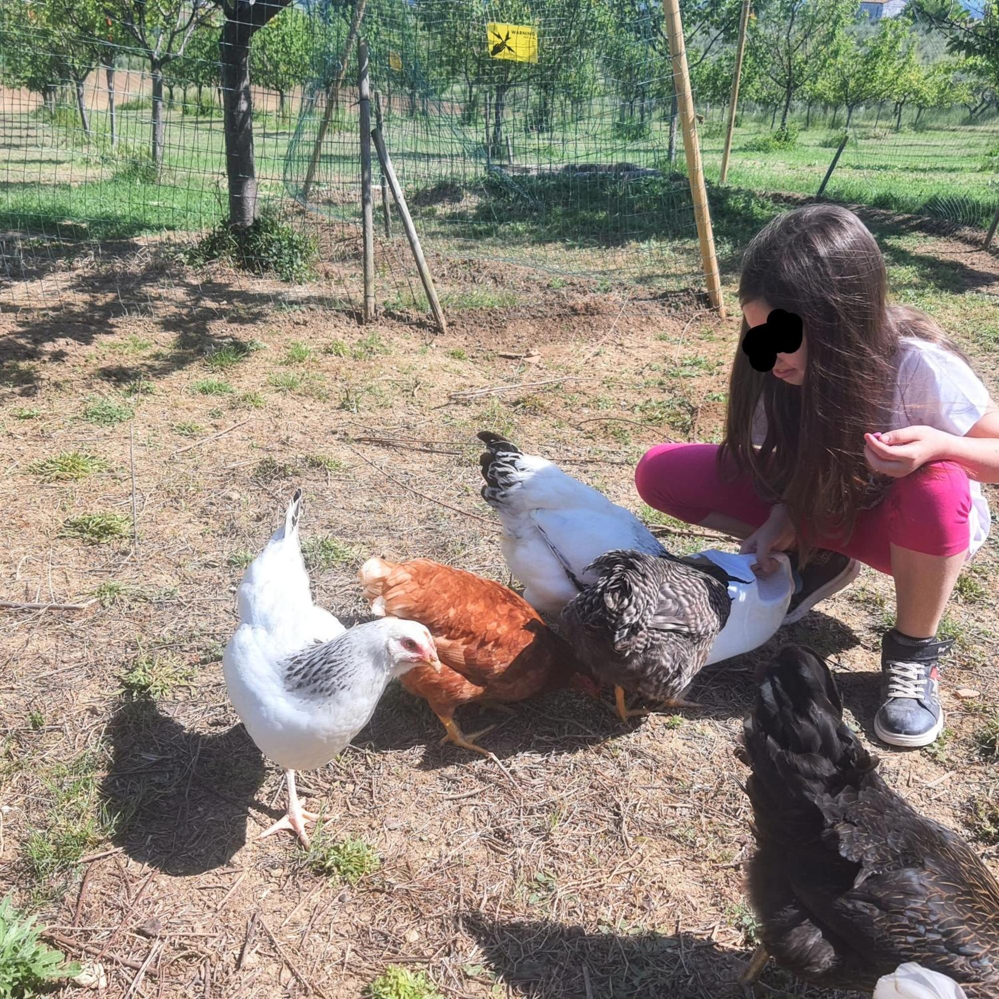 Monte San Vito Agriturismo Rosa Antica מראה חיצוני תמונה