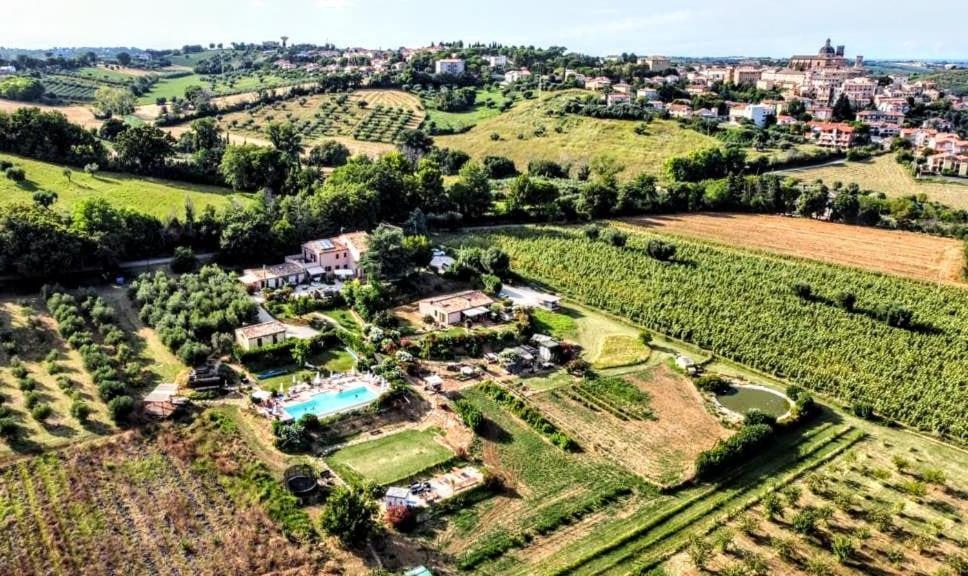 Monte San Vito Agriturismo Rosa Antica מראה חיצוני תמונה