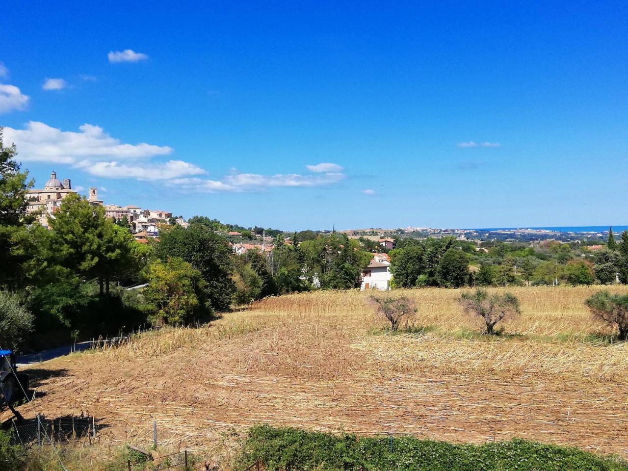 Monte San Vito Agriturismo Rosa Antica מראה חיצוני תמונה