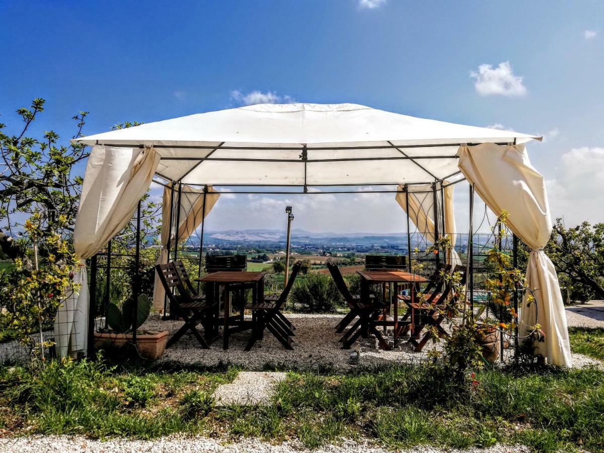 Monte San Vito Agriturismo Rosa Antica מראה חיצוני תמונה