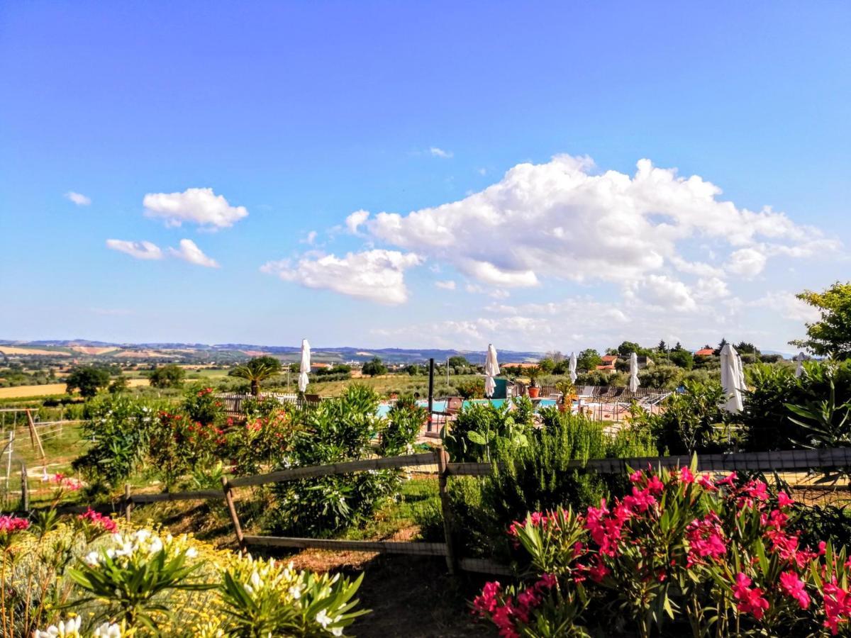 Monte San Vito Agriturismo Rosa Antica מראה חיצוני תמונה